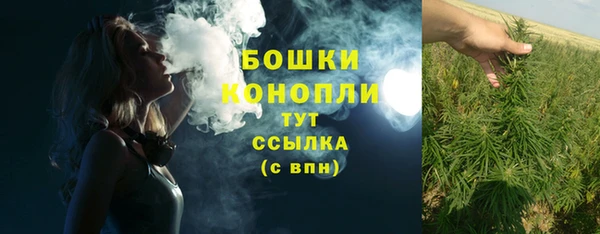 МДПВ Верхний Тагил
