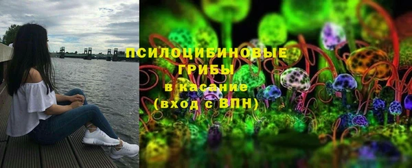 МДПВ Верхний Тагил