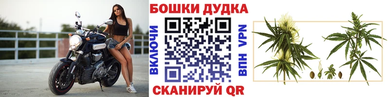 blacksprut сайт Королёв это формула цена МАРИХУАНА SATIVA & INDICA